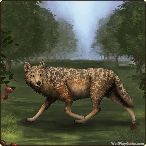 genstart.php?bgpic=38&shadow=Y&sex=M&base=117&rank=B&piebald1=0&legtype=0&tailtype=0&pointscolor=0&brindle=9&eyes=1&muzzletype=0&muzzlecolor=0&headtype=0&ears=0&shoulder=0&backtype=0&backcolor=0&speckletype=0&specklecolor=0&eecolor=0&eetype=0&nose=0&okapi=9&leopard=9&decor1=0&gear=0&harl=0&bel=0&som=0&pietype=0&alt=3&backtype2=0&backcolor2=0&a1=1&a2=2&a3=3&a4=4&a5=5&a6=6&a7=7&a11=8&a8=11&a9=10&a10=9&a12=12&a13=14&a14=15&a15=16&a16=17&a17=13&b1=100&b2=100&b3=100&b4=100&b5=100&b6=100&b7=100&b8=100&b9=100&b10=100&b11=100&b12=100&b13=100&b14=100&b15=100&b16=100&b17=100