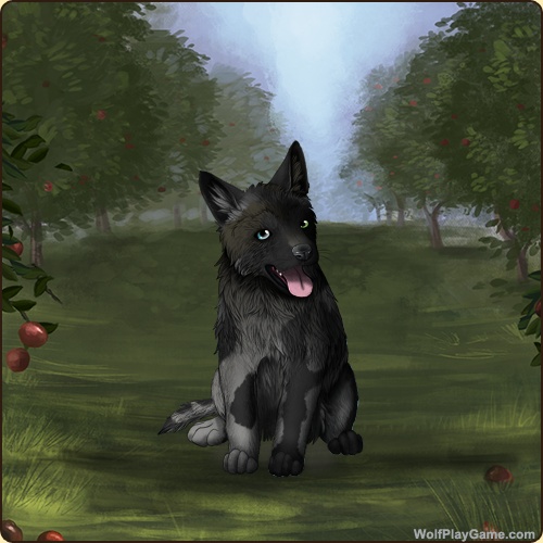 genstart.php?bgpic=38&shadow=Y&sex=M&base=32&rank=P&piebald1=0&legtype=0&tailtype=0&pointscolor=0&brindle=0&eyes=13&muzzletype=0&muzzlecolor=0&headtype=0&ears=0&shoulder=0&backtype=0&backcolor=0&speckletype=0&specklecolor=0&eecolor=0&eetype=0&nose=0&okapi=0&leopard=0&decor1=0&gear=0&harl=0&bel=0&som=67&pietype=0&alt=1&backtype2=0&backcolor2=0&a1=1&a2=2&a3=3&a4=4&a5=5&a6=6&a7=7&a11=8&a8=11&a9=10&a10=9&a12=12&a13=14&a14=15&a15=16&a16=17&a17=13&b1=100&b2=100&b3=100&b4=100&b5=100&b6=100&b7=100&b8=100&b9=100&b10=100&b11=100&b12=100&b13=100&b14=100&b15=100&b16=100&b17=100