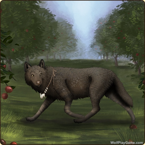 genstart.php?bgpic=38&shadow=Y&sex=M&base=53&rank=B&piebald1=0&legtype=0&tailtype=0&pointscolor=0&brindle=0&eyes=6&muzzletype=0&muzzlecolor=0&headtype=0&ears=0&shoulder=0&backtype=11&backcolor=4&speckletype=0&specklecolor=0&eecolor=40&eetype=1&nose=3&okapi=67&leopard=0&decor1=0&gear=56&harl=0&bel=0&som=0&pietype=0&alt=1&backtype2=0&backcolor2=0&a1=1&a2=2&a3=3&a4=4&a5=5&a6=6&a7=7&a11=8&a8=11&a9=10&a10=9&a12=12&a13=14&a14=15&a15=16&a16=17&a17=13&b1=100&b2=100&b3=43&b4=100&b5=100&b6=100&b7=100&b8=100&b9=100&b10=100&b11=100&b12=100&b13=100&b14=59&b15=100&b16=100&b17=100