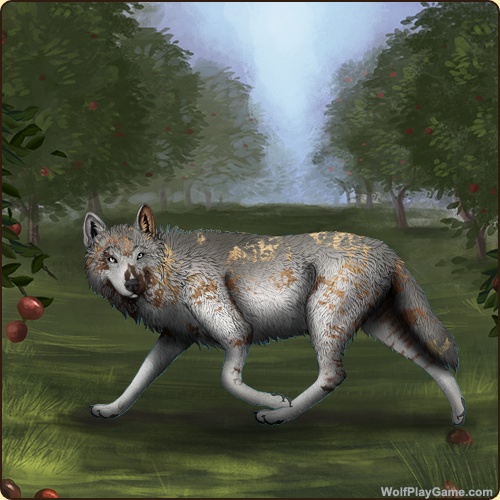 genstart.php?bgpic=38&shadow=Y&sex=M&base=60&rank=B&piebald1=2&legtype=0&tailtype=0&pointscolor=0&brindle=2&eyes=1&muzzletype=0&muzzlecolor=0&headtype=0&ears=0&shoulder=0&backtype=0&backcolor=0&speckletype=0&specklecolor=0&eecolor=0&eetype=0&nose=0&okapi=2&leopard=2&decor1=0&gear=0&harl=0&bel=0&som=2&pietype=3&alt=1&backtype2=0&backcolor2=0&a1=1&a2=2&a3=3&a4=4&a5=5&a6=6&a7=7&a11=8&a8=11&a9=10&a10=9&a12=12&a13=14&a14=15&a15=16&a16=17&a17=13&b1=100&b2=100&b3=100&b4=100&b5=100&b6=100&b7=74&b8=100&b9=100&b10=100&b11=100&b12=100&b13=100&b14=100&b15=100&b16=100&b17=100