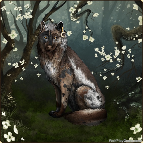 genstart.php?bgpic=42&shadow=Y&sex=F&base=89&rank=A&piebald1=1&legtype=9&tailtype=0&pointscolor=1&brindle=0&eyes=19&muzzletype=1&muzzlecolor=40&headtype=8&ears=0&shoulder=0&backtype=5&backcolor=1&speckletype=0&specklecolor=0&eecolor=1&eetype=1&nose=11&okapi=0&leopard=0&decor1=0&gear=160&harl=40&bel=0&som=0&pietype=1&alt=1&backtype2=3&backcolor2=48&a1=1&a2=2&a3=3&a4=4&a5=5&a6=6&a7=7&a11=8&a8=11&a9=10&a10=9&a12=12&a13=14&a14=15&a15=16&a16=17&a17=13&b1=100&b2=100&b3=100&b4=100&b5=100&b6=100&b7=100&b8=100&b9=100&b10=100&b11=100&b12=100&b13=100&b14=100&b15=100&b16=100&b17=100