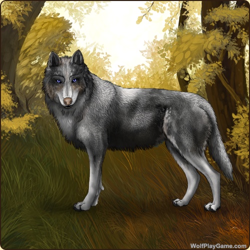 genstart.php?bgpic=87&shadow=Y&sex=M&base=12&rank=A&piebald1=1&legtype=2&tailtype=0&pointscolor=1&brindle=0&eyes=2&muzzletype=1&muzzlecolor=1&headtype=0&ears=0&shoulder=1&backtype=0&backcolor=0&speckletype=0&specklecolor=0&eecolor=0&eetype=0&nose=10&okapi=0&leopard=0&decor1=0&gear=0&harl=0&bel=0&som=0&pietype=5&alt=1&backtype2=0&backcolor2=0&a1=1&a2=2&a3=3&a4=4&a5=5&a6=6&a7=7&a11=8&a8=11&a9=10&a10=9&a12=12&a13=14&a14=15&a15=16&a16=17&a17=13&b1=100&b2=100&b3=100&b4=100&b5=100&b6=100&b7=100&b8=100&b9=100&b10=100&b11=100&b12=100&b13=100&b14=100&b15=100&b16=100&b17=100&age=9&custom=Y&defect=101&vitiligo=2