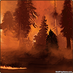 forestfire.png