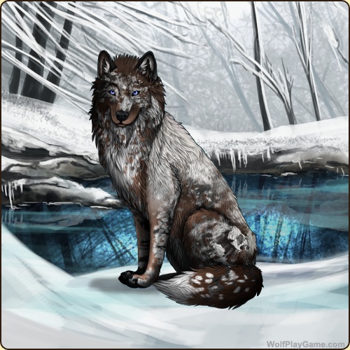 genstart.php?bgpic=17&shadow=Y&sex=F&base=25&rank=A&piebald1=1&legtype=6&tailtype=3&pointscolor=2&brindle=5&eyes=3&muzzletype=3&muzzlecolor=48&headtype=8&ears=1&shoulder=1&backtype=4&backcolor=48&speckletype=1&specklecolor=48&eecolor=40&eetype=1&nose=0&okapi=40&leopard=48&decor1=0&gear=0&harl=5&bel=1&som=48&pietype=1&alt=1&backtype2=0&backcolor2=0&a1=1&a2=2&a3=3&a4=4&a5=5&a6=6&a7=7&a11=8&a8=11&a9=10&a10=9&a12=12&a13=14&a14=15&a15=16&a16=17&a17=13&b1=100&b2=100&b3=100&b4=100&b5=100&b6=100&b7=100&b8=100&b9=100&b10=100&b11=100&b12=100&b13=100&b14=100&b15=100&b16=100&b17=100