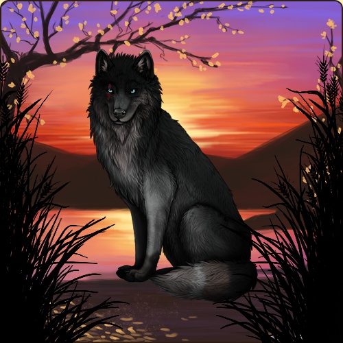 https://wolfplaygame.com/genstart.php?bgpic=33&shadow=Y&sex=F&base=32&rank=A&piebald1=0&legtype=10&tailtype=4&pointscolor=5&brindle=0&eyes=16&muzzletype=3&muzzlecolor=5&headtype=10&ears=1&shoulder=0&backtype=0&backcolor=5&speckletype=0&specklecolor=0&eecolor=5&eetype=3&nose=8&okapi=0&leopard=0&decor1=347&gear=310&harl=0&bel=0&som=0&pietype=0&alt=1&backtype2=0&backcolor2=0&a1=1&a2=2&a3=3&a4=4&a5=5&a6=6&a7=7&a11=8&a8=11&a9=10&a10=9&a12=12&a13=14&a14=15&a15=16&a16=17&a17=13&b1=100&b2=100&b3=100&b4=100&b5=100&b6=100&b7=100&b8=100&b9=100&b10=100&b11=100&b12=100&b13=100&b14=100&b15=100&b16=100&b17=100&age=9&custom=Y