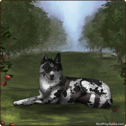 genstart.php?bgpic=38&shadow=Y&sex=F&base=93&rank=O&piebald1=0&legtype=0&tailtype=0&pointscolor=0&brindle=0&eyes=4&muzzletype=0&muzzlecolor=48&headtype=0&ears=0&shoulder=0&backtype=0&backcolor=67&speckletype=0&specklecolor=1&eecolor=1&eetype=0&nose=0&okapi=0&leopard=0&decor1=0&gear=0&harl=67&bel=0&som=5&pietype=0&alt=1&backtype2=8&backcolor2=0&a1=1&a2=2&a3=3&a4=4&a5=7&a6=5&a7=6&a11=8&a8=11&a9=10&a10=9&a12=12&a13=14&a14=15&a15=16&a16=17&a17=13&b1=95&b2=67&b3=100&b4=100&b5=100&b6=99&b7=100&b8=100&b9=100&b10=99&b11=100&b12=100&b13=99&b14=100&b15=100&b16=100&b17=100