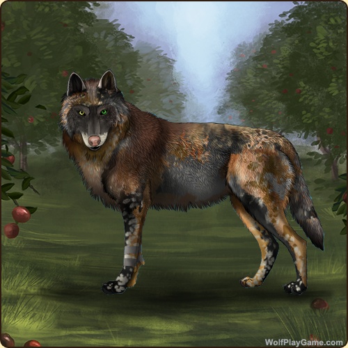 genstart.php?bgpic=38&shadow=Y&sex=M&base=15&rank=A&piebald1=8&legtype=5&tailtype=4&pointscolor=5&brindle=40&eyes=14&muzzletype=3&muzzlecolor=6&headtype=5&ears=1&shoulder=65&backtype=4&backcolor=1&speckletype=2&specklecolor=65&eecolor=1&eetype=1&nose=1&okapi=11&leopard=40&decor1=0&gear=0&harl=9&bel=6&som=40&pietype=2&alt=1&backtype2=0&backcolor2=0&a1=1&a2=2&a3=3&a4=4&a5=5&a6=6&a7=7&a11=8&a8=11&a9=10&a10=9&a12=12&a13=14&a14=15&a15=16&a16=17&a17=13&b1=100&b2=100&b3=100&b4=100&b5=100&b6=100&b7=100&b8=100&b9=100&b10=100&b11=100&b12=100&b13=100&b14=100&b15=100&b16=100&b17=100