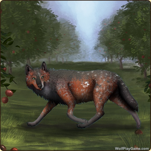 genstart.php?bgpic=38&shadow=Y&sex=M&base=17&rank=B&piebald1=1&legtype=3&tailtype=1&pointscolor=5&brindle=11&eyes=4&muzzletype=1&muzzlecolor=5&headtype=1&ears=1&shoulder=3&backtype=1&backcolor=5&speckletype=2&specklecolor=1&eecolor=5&eetype=1&nose=0&okapi=11&leopard=11&decor1=0&gear=0&harl=11&bel=3&som=11&pietype=0&alt=1&backtype2=0&backcolor2=0&a1=1&a2=2&a3=3&a4=4&a5=5&a6=6&a7=7&a11=8&a8=11&a9=10&a10=9&a12=12&a13=14&a14=15&a15=16&a16=17&a17=13&b1=100&b2=100&b3=100&b4=100&b5=100&b6=100&b7=100&b8=100&b9=100&b10=100&b11=100&b12=100&b13=100&b14=100&b15=100&b16=100&b17=100