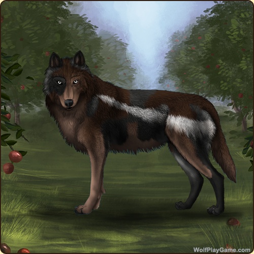genstart.php?bgpic=38&shadow=Y&sex=M&base=67&rank=A&piebald1=48&legtype=0&tailtype=1&pointscolor=48&brindle=0&eyes=1&muzzletype=0&muzzlecolor=0&headtype=1&ears=1&shoulder=0&backtype=5&backcolor=1&speckletype=0&specklecolor=0&eecolor=0&eetype=0&nose=0&okapi=0&leopard=0&decor1=0&gear=0&harl=0&bel=0&som=0&pietype=4&alt=1&backtype2=0&backcolor2=0&a1=1&a2=2&a3=3&a4=4&a5=5&a6=6&a7=7&a11=8&a8=11&a9=10&a10=9&a12=12&a13=14&a14=15&a15=16&a16=17&a17=13&b1=100&b2=100&b3=100&b4=100&b5=100&b6=7&b7=100&b8=100&b9=100&b10=100&b11=100&b12=100&b13=100&b14=100&b15=100&b16=100&b17=100