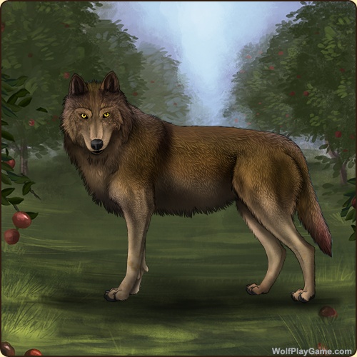 genstart.php?bgpic=38&shadow=Y&sex=M&base=7&rank=A&piebald1=0&legtype=0&tailtype=1&pointscolor=10&brindle=0&eyes=6&muzzletype=0&muzzlecolor=0&headtype=4&ears=0&shoulder=0&backtype=2&backcolor=9&speckletype=0&specklecolor=0&eecolor=0&eetype=0&nose=0&okapi=0&leopard=0&decor1=0&gear=0&harl=0&bel=10&som=0&pietype=0&alt=1&backtype2=0&backcolor2=0&a1=1&a2=2&a3=3&a4=4&a5=5&a6=6&a7=7&a11=8&a8=11&a9=10&a10=9&a12=12&a13=14&a14=15&a15=16&a16=17&a17=13&b1=100&b2=100&b3=100&b4=100&b5=100&b6=100&b7=48&b8=100&b9=100&b10=19&b11=100&b12=100&b13=100&b14=100&b15=100&b16=7&b17=100