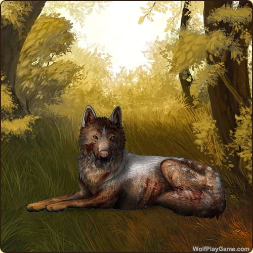 genstart.php?bgpic=87&shadow=Y&sex=F&base=5&rank=O&piebald1=1&legtype=15&tailtype=6&pointscolor=80&brindle=1&eyes=16&muzzletype=1&muzzlecolor=1&headtype=14&ears=1&shoulder=1&backtype=16&backcolor=8&speckletype=2&specklecolor=1&eecolor=1&eetype=1&nose=1&okapi=11&leopard=3&decor1=0&gear=0&harl=7&bel=16&som=80&pietype=6&alt=4&backtype2=5&backcolor2=5&a1=1&a2=2&a3=3&a4=4&a5=5&a6=6&a7=7&a11=8&a8=11&a9=10&a10=9&a12=12&a13=14&a14=15&a15=16&a16=17&a17=13&b1=100&b2=100&b3=100&b4=100&b5=100&b6=100&b7=100&b8=100&b9=100&b10=100&b11=100&b12=100&b13=100&b14=100&b15=100&b16=100&b17=100&age=9&custom=Y