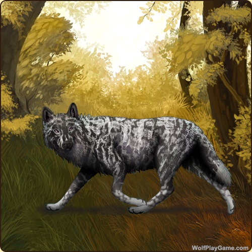 genstart.php?bgpic=87&shadow=Y&sex=M&base=5&rank=B&piebald1=0&legtype=15&tailtype=6&pointscolor=1&brindle=1&eyes=17&muzzletype=0&muzzlecolor=0&headtype=0&ears=0&shoulder=0&backtype=0&backcolor=0&speckletype=3&specklecolor=1&eecolor=0&eetype=0&nose=0&okapi=0&leopard=0&decor1=0&gear=0&harl=0&bel=0&som=0&pietype=0&alt=1&backtype2=13&backcolor2=1&a1=1&a2=2&a3=3&a4=4&a5=5&a6=6&a7=7&a11=8&a8=11&a9=10&a10=9&a12=12&a13=14&a14=15&a15=16&a16=17&a17=13&b1=100&b2=100&b3=100&b4=100&b5=100&b6=100&b7=100&b8=100&b9=100&b10=100&b11=100&b12=100&b13=100&b14=100&b15=100&b16=100&b17=100&age=9&custom=Y