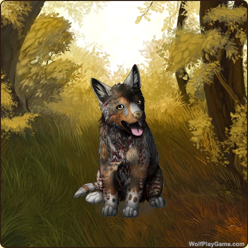 genstart.php?bgpic=87&shadow=Y&sex=M&base=80&rank=P&piebald1=6&legtype=16&tailtype=5&pointscolor=2&brindle=2&eyes=6&muzzletype=2&muzzlecolor=1&headtype=8&ears=1&shoulder=2&backtype=4&backcolor=16&speckletype=1&specklecolor=1&eecolor=1&eetype=1&nose=4&okapi=65&leopard=67&decor1=0&gear=0&harl=5&bel=16&som=16&pietype=6&alt=1&backtype2=13&backcolor2=1&a1=1&a2=2&a3=3&a4=4&a5=5&a6=6&a7=7&a11=8&a8=11&a9=10&a10=9&a12=12&a13=14&a14=15&a15=16&a16=17&a17=13&b1=100&b2=100&b3=100&b4=100&b5=100&b6=100&b7=100&b8=100&b9=100&b10=100&b11=100&b12=100&b13=100&b14=100&b15=100&b16=100&b17=100&age=1&custom=Y