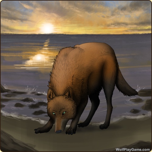 https://wolfplaygame.com/wolf.php?id=2738643