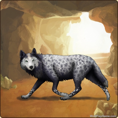 genstart.php?decor=Y&id=5621877&v=1753966869