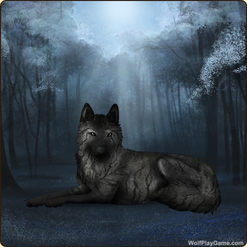 genstart.php?decor=Y&id=5848110&v=1762887690