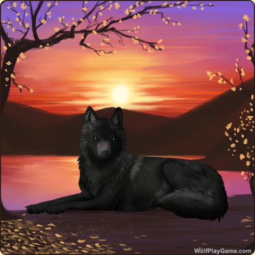 genstart.php?decor=Y&id=5973000&v=1771828021