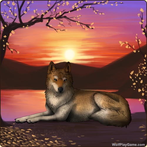 genstart.php?decor=Y&id=5973001&v=1771828027