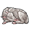 lambcarcass.png